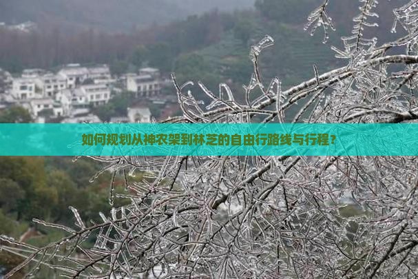 如何规划从神农架到林芝的自由行路线与行程？