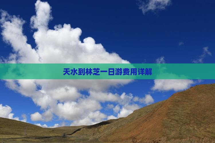 天水到林芝一日游费用详解