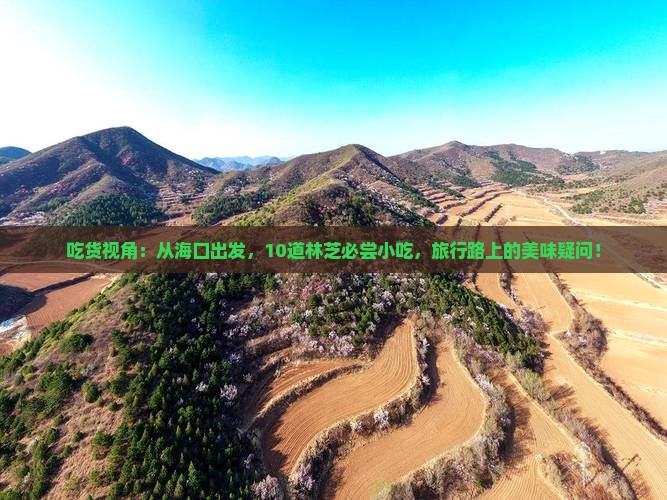 吃货视角：从海口出发，10道林芝必尝小吃，旅行路上的美味疑问！