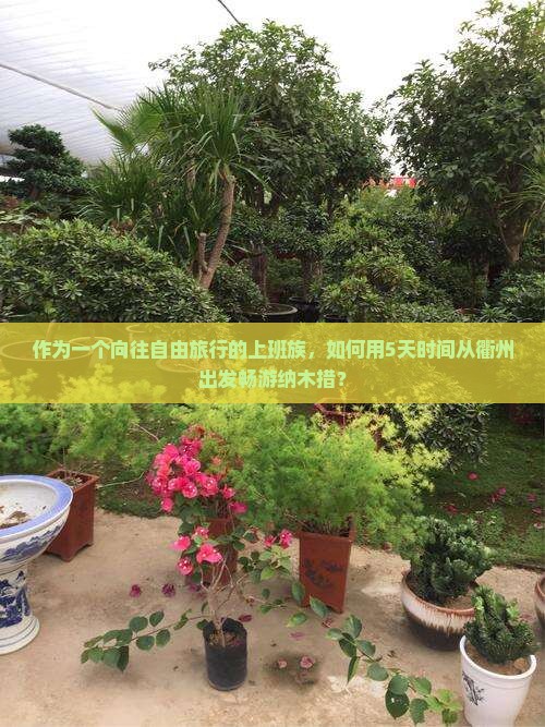 作为一个向往自由旅行的上班族，如何用5天时间从衢州出发畅游纳木措？
