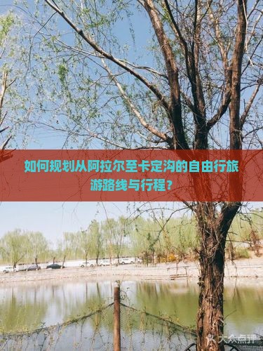 如何规划从阿拉尔至卡定沟的自由行旅游路线与行程？