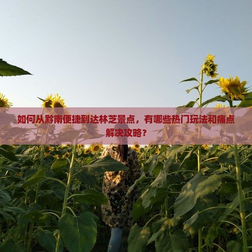 如何从黔南便捷到达林芝景点，有哪些热门玩法和痛点解决攻略？