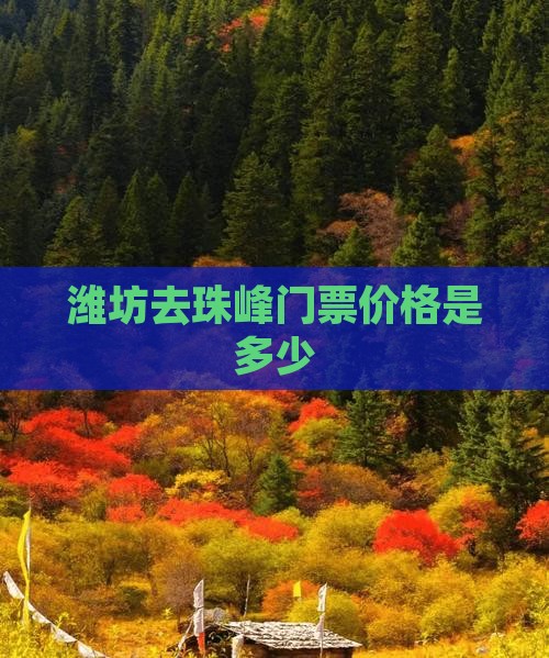 潍坊去珠峰门票价格是多少