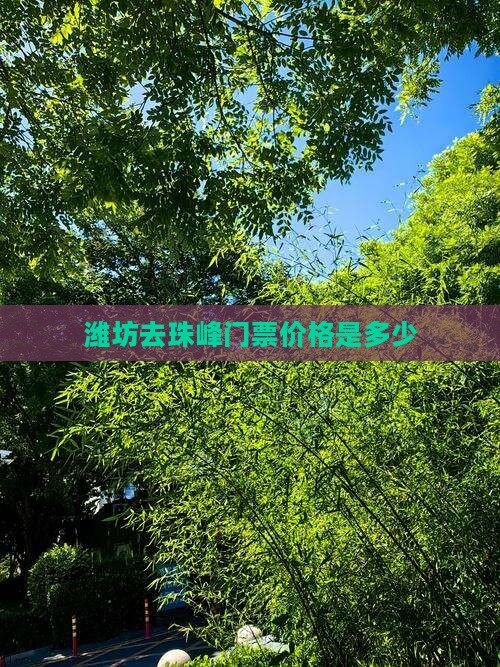 潍坊去珠峰门票价格是多少