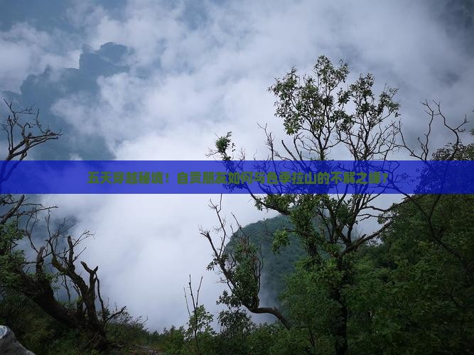 五天穿越秘境！自贡朋友如何与色季拉山的不解之缘？