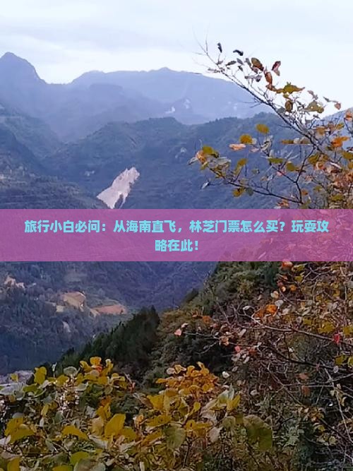 旅行小白必问：从海南直飞，林芝门票怎么买？玩耍攻略在此！