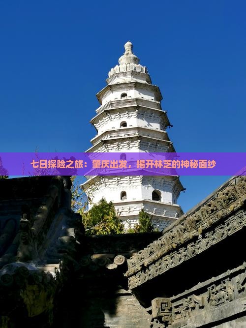七日探险之旅：肇庆出发，揭开林芝的神秘面纱