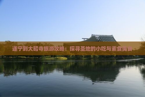 遂宁到大昭寺旅游攻略：探寻圣地的小吃与素食美食