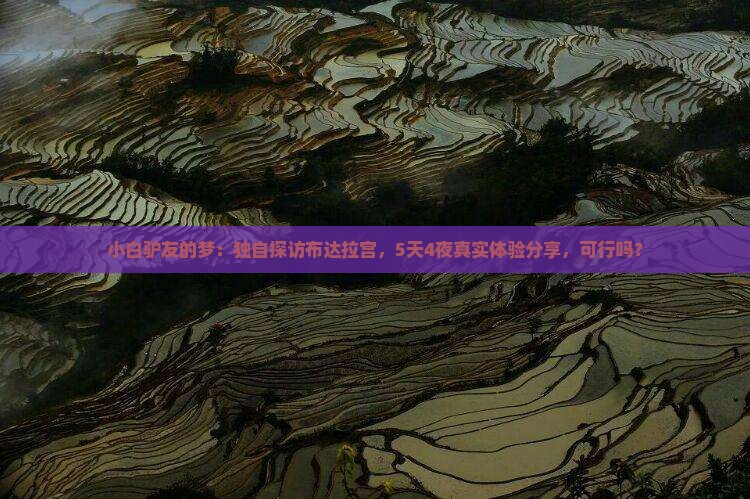 小白驴友的梦：独自探访布达拉宫，5天4夜真实体验分享，可行吗？