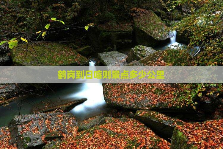 鹤岗到日喀则景点多少公里