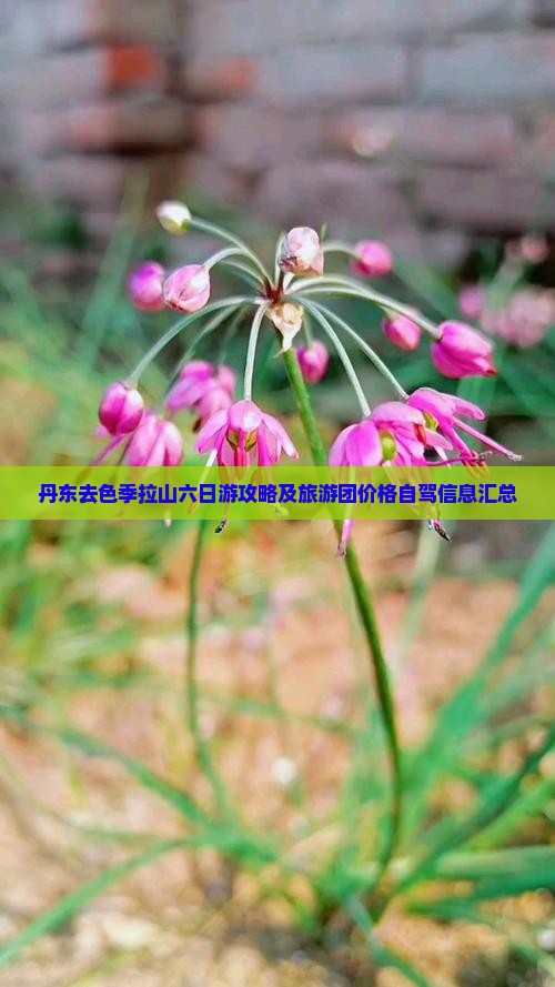 丹东去色季拉山六日游攻略及旅游团价格自驾信息汇总