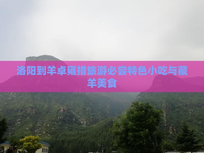 洛阳到羊卓雍措旅游必尝特色小吃与藏羊美食