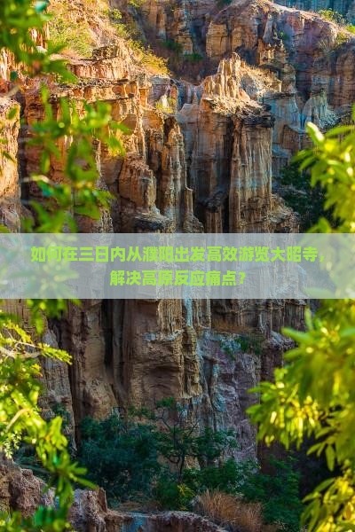 如何在三日内从濮阳出发高效游览大昭寺，解决高原反应痛点？