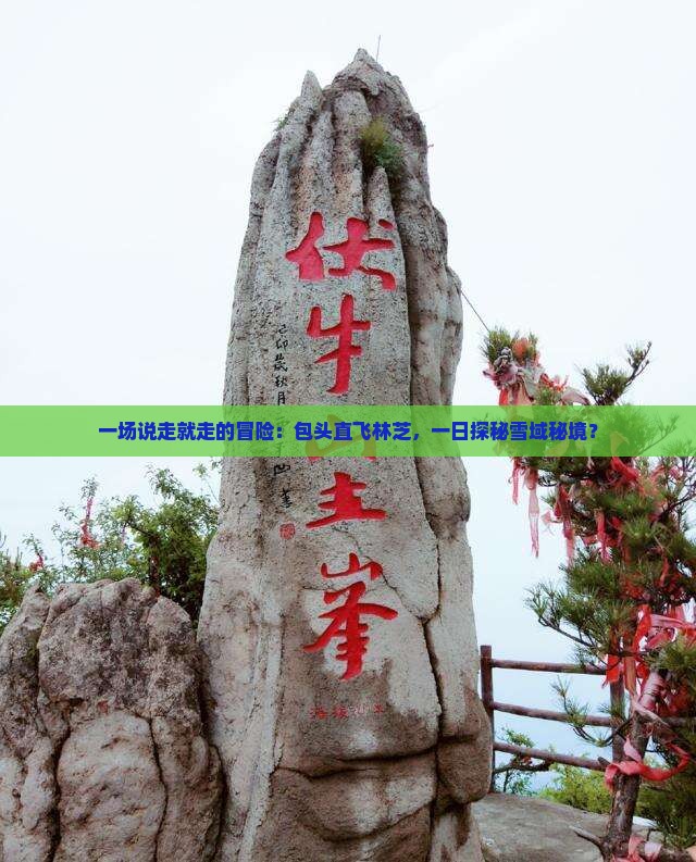 一场说走就走的冒险：包头直飞林芝，一日探秘雪域秘境？