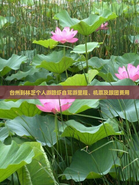 台州到林芝个人游路虾自驾游里程、机票及跟团费用