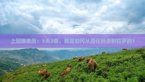 上班族亲历：3天2夜，我是如何从通化畅游到拉萨的？