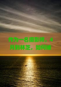 作为一名摄影师，4月到林芝，如何捕捉最美的桃花盛宴？