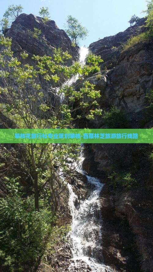 攀枝花去西藏林芝旅行社