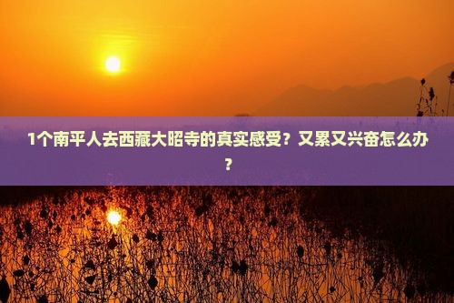 南平去西藏大昭寺景点