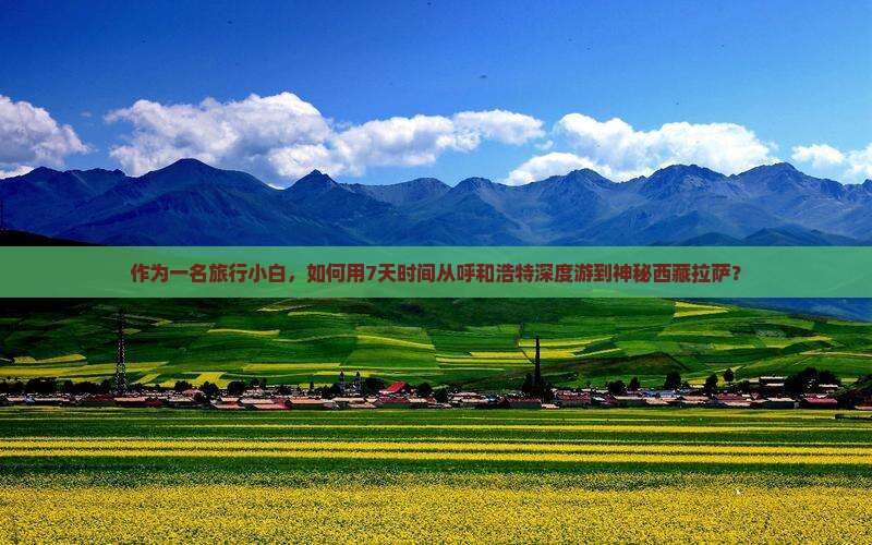 呼和浩特到西藏拉萨旅游