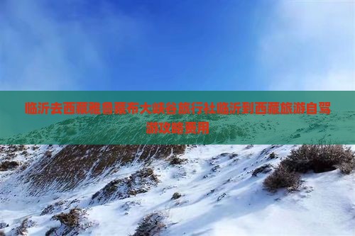 临沂去西藏雅鲁藏布大峡谷旅行社