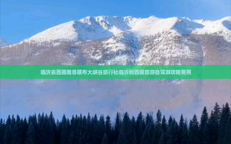 临沂去西藏雅鲁藏布大峡谷旅行社