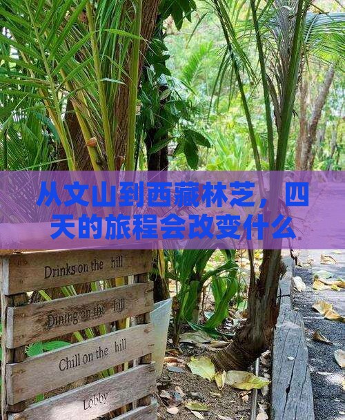 文山去西藏林芝四日游