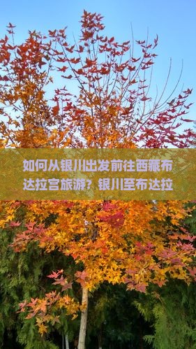 银川去西藏布达拉宫哪里玩