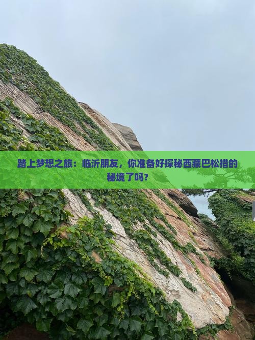 临沂去西藏巴松措攻略