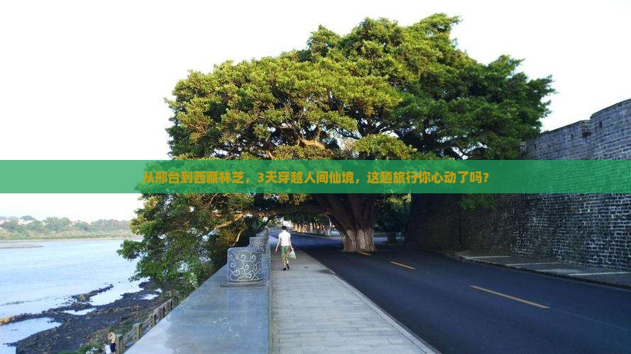邢台去西藏林芝三日游