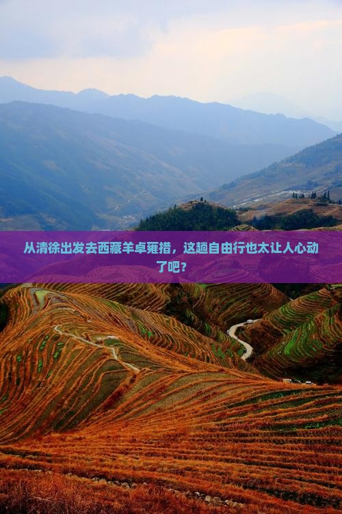 清徐到西藏羊卓雍措自由行