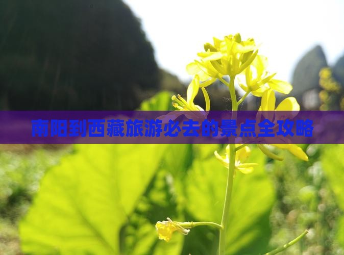 南阳去西藏必去地
