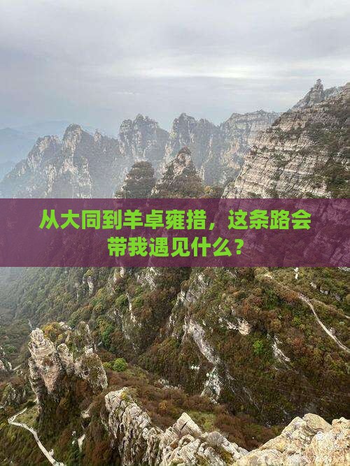 大同到西藏羊卓雍措自由行
