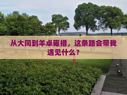 大同到西藏羊卓雍措自由行