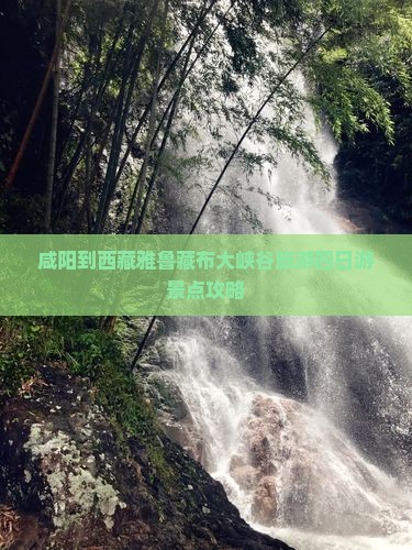 咸阳到西藏雅鲁藏布大峡谷四日游