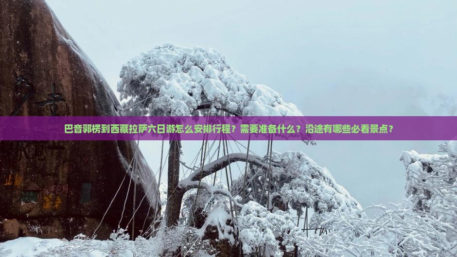 巴音郭楞去西藏拉萨六日游