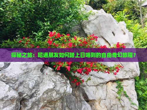 昭通去西藏日喀则自由团