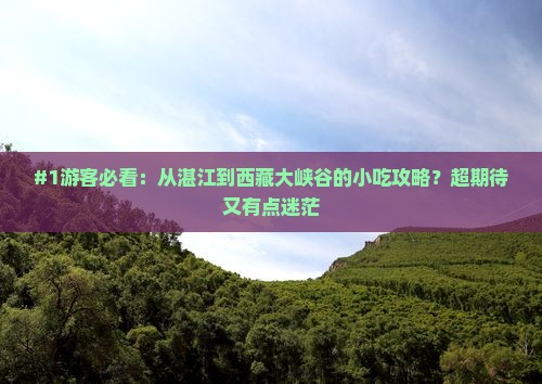 湛江去西藏雅鲁藏布大峡谷旅游小吃 湛江去西藏雅鲁藏布大峡谷旅游小吃