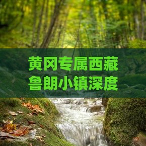 黄冈到西藏鲁朗小镇团体旅游