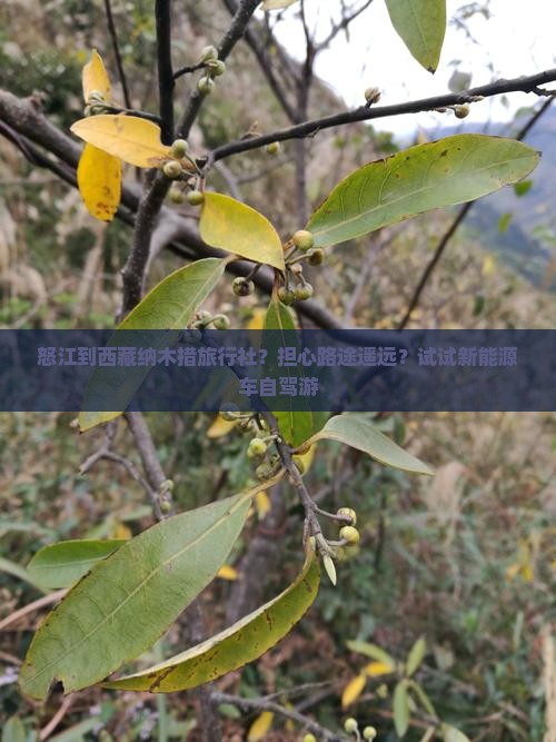怒江到西藏纳木措旅行社