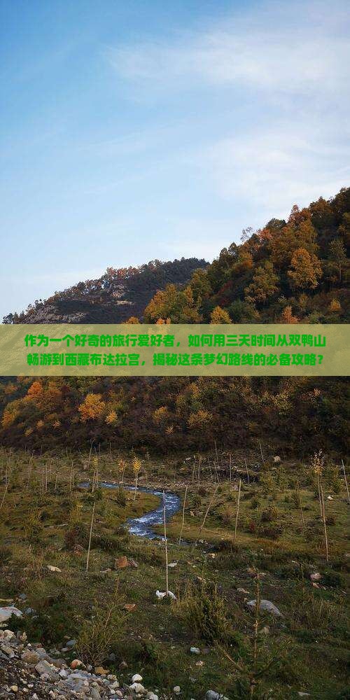 双鸭山到西藏布达拉宫三日游