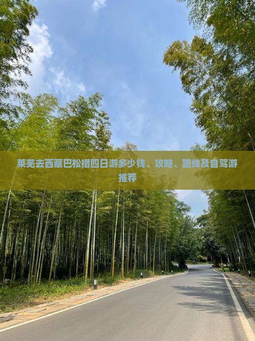 莱芜去西藏巴松措四日游