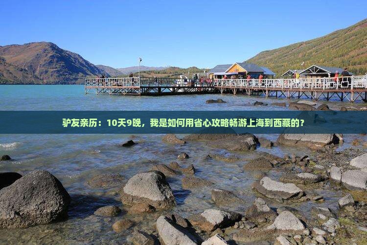 上海到西藏自由团