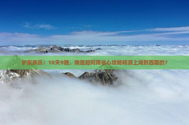上海到西藏自由团