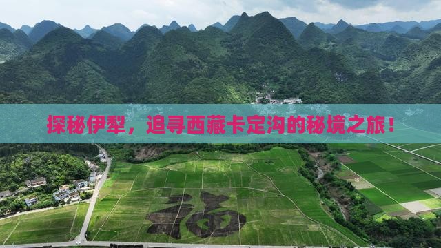 伊犁去西藏卡定沟旅游