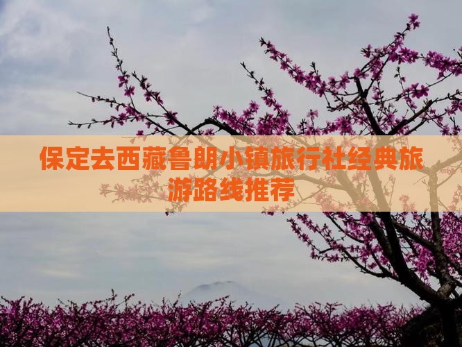 保定去西藏鲁朗小镇旅行社