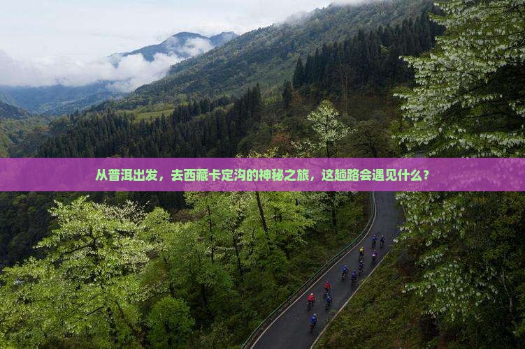 普洱去西藏卡定沟二日游