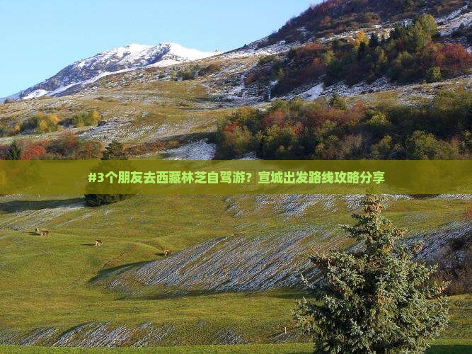 宣城去西藏林芝旅游