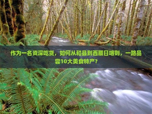 和县到西藏日喀则旅游小吃