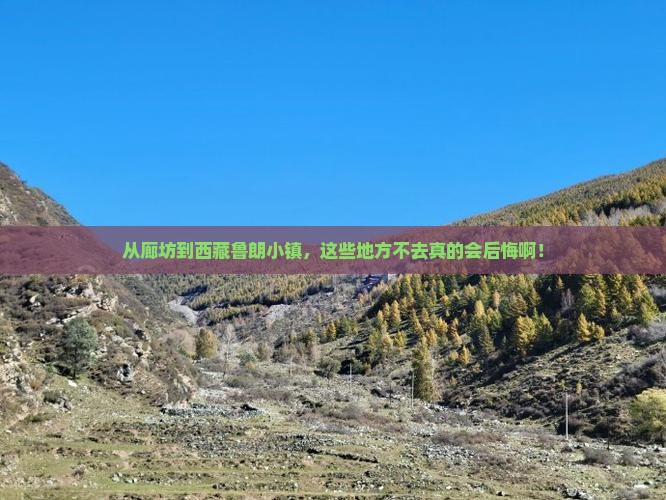 廊坊去西藏鲁朗小镇必去地